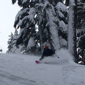 Meet your Posher, George